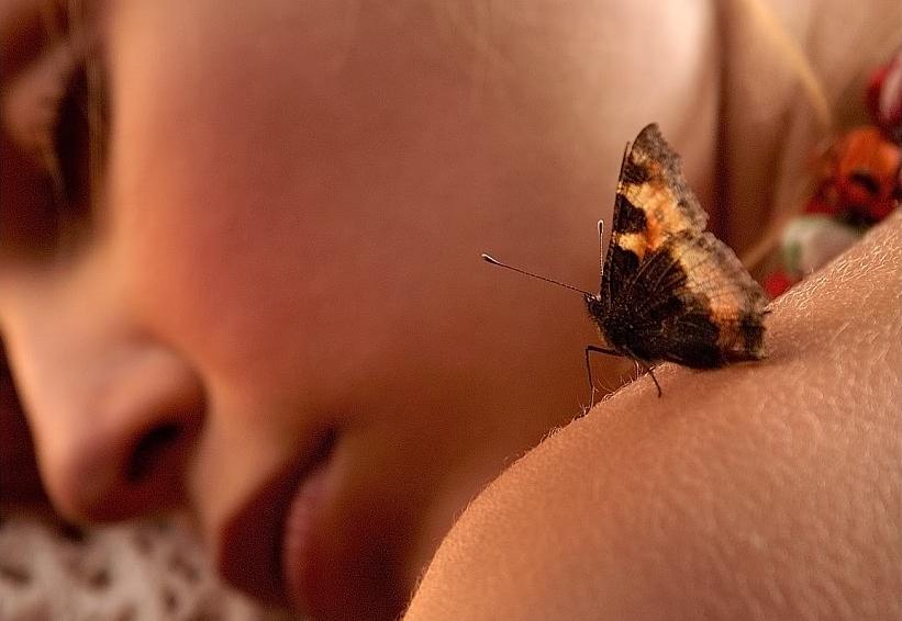 女性の肩にとまる蝶