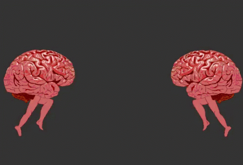 衝突する二つの脳