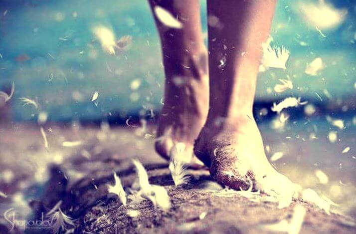 歩く人と鳥の羽