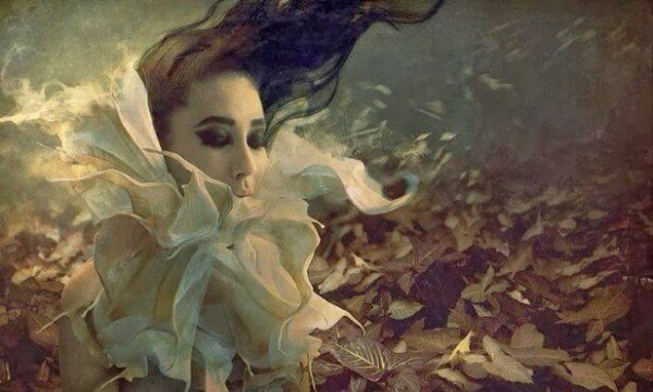 花の中の女性の顔