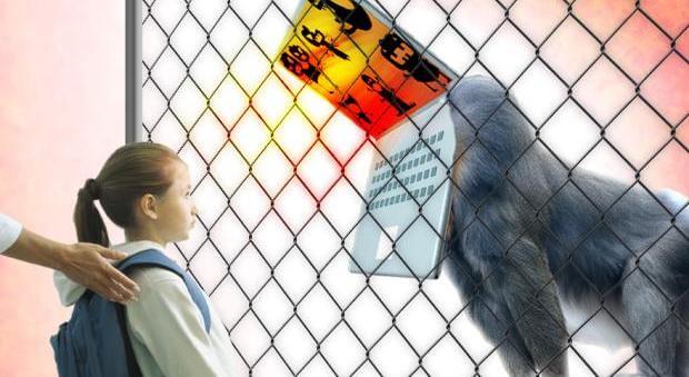 ソーシャルメディアの猛獣