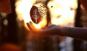 残酷さへの最善の対処法は親切心