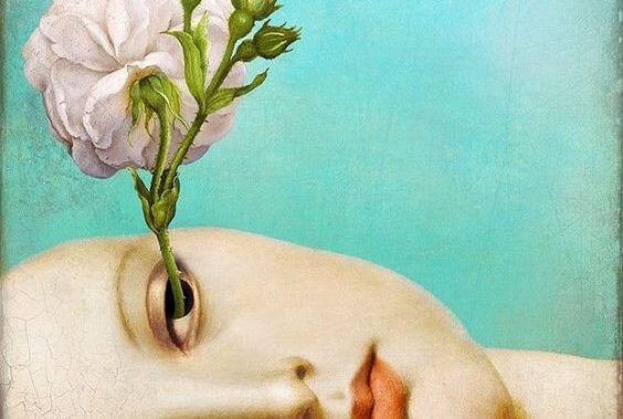 目から育つバラの花