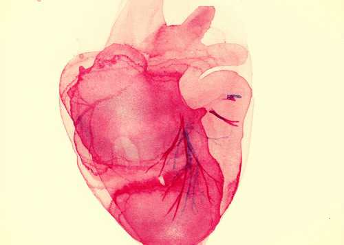 心臓X線