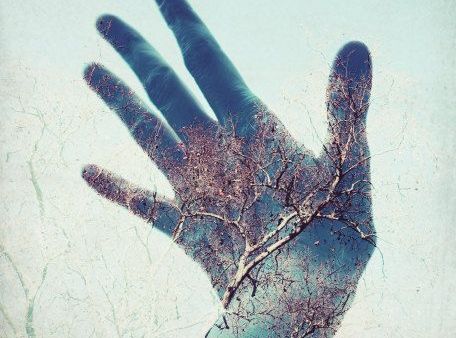 木を透かせてみせる手