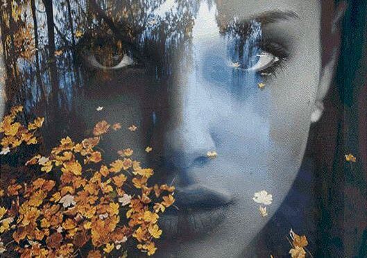 森の木々に浮かぶ女性の顔