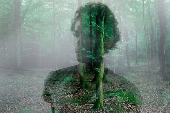 森に浮かぶ男性の影