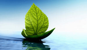 ストレス軽減のシンプルな方法:ジェイコブソンの段階的筋弛緩法