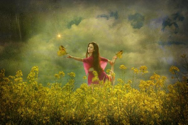 花畑の女性と蝶