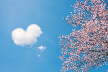 愛に関する中国のことわざ5選
