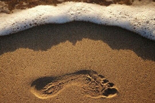 砂浜の足跡