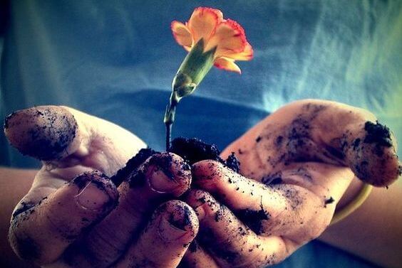 手のひらの上の土と花