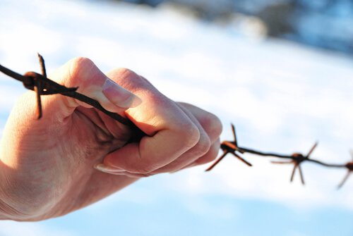 有刺鉄線を握る手