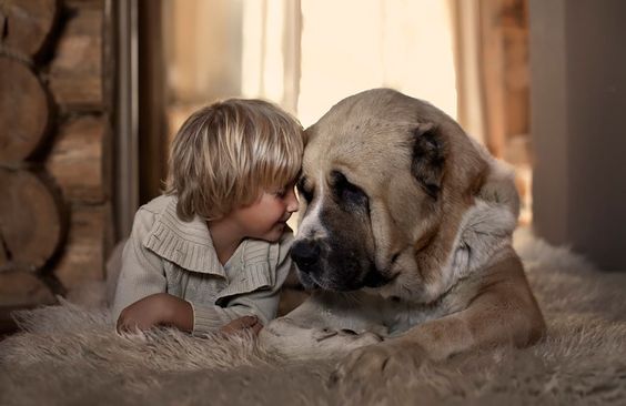 子どもと犬