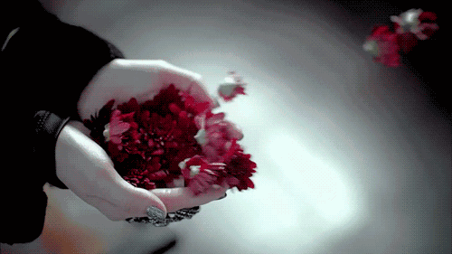 手から飛んで行く赤い花