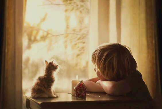 外を眺める子猫と少年