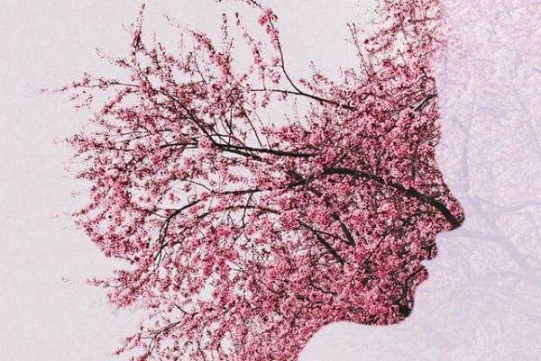 perfil-con-flores-representando-el-olvido-del-alzheimer-600x401 横顔に浮かぶ桜の花