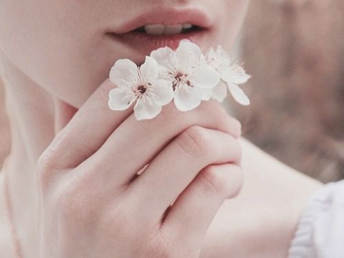3つの桜の花
