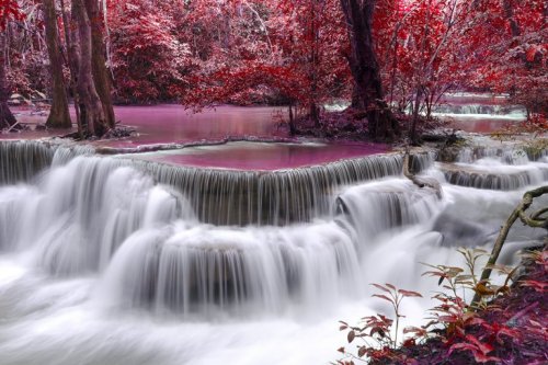 紅葉した森と滝