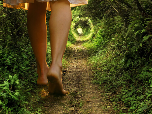 森のトンネルを歩く女性