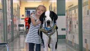 「僕に寄りかかって」:ベラとジョージの素敵な物語