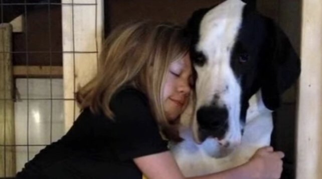 ジョージとベラ