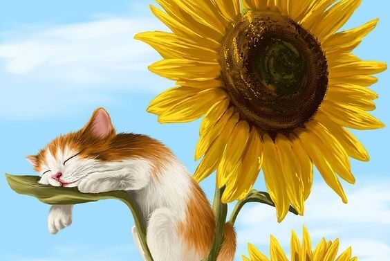 ヒマワリと猫