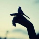 指に留まる小鳥