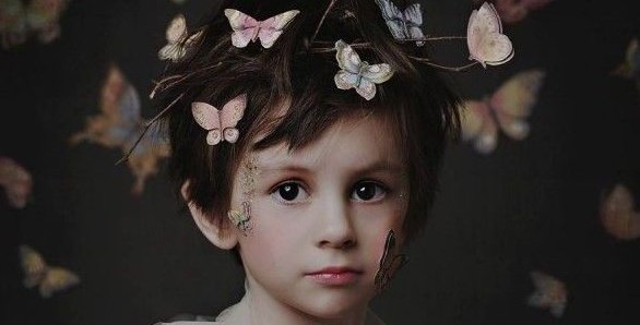 頭に蝶が留まる男の子