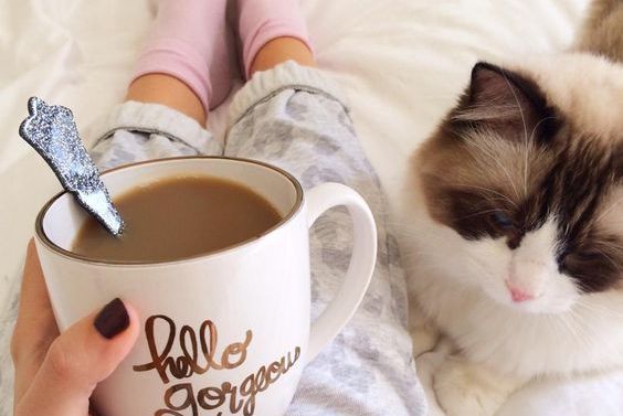 猫の横でコーヒーを飲む