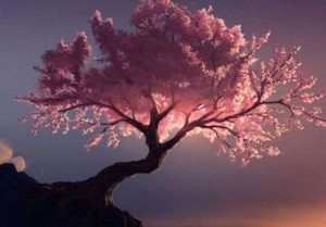 木々がもたらす浄化力