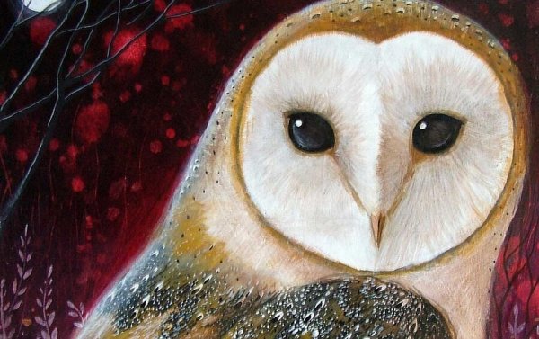 尊厳とフクロウ