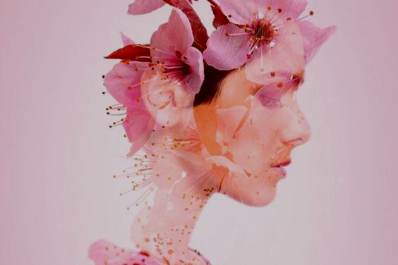 女性の横顔に映る花