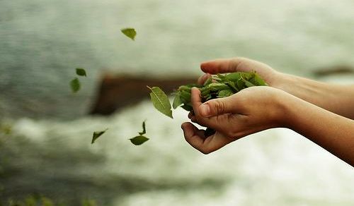 手の中から飛ぶ葉