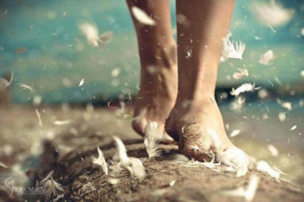 裸足の足と鳥の羽