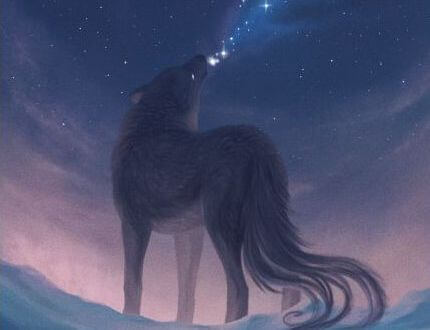 夜空を見上げるオオカミ