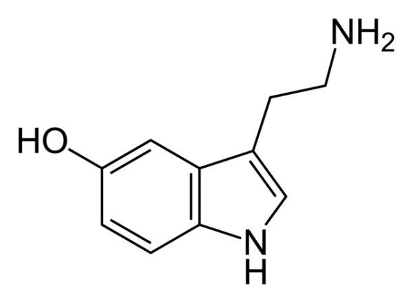 科学構造