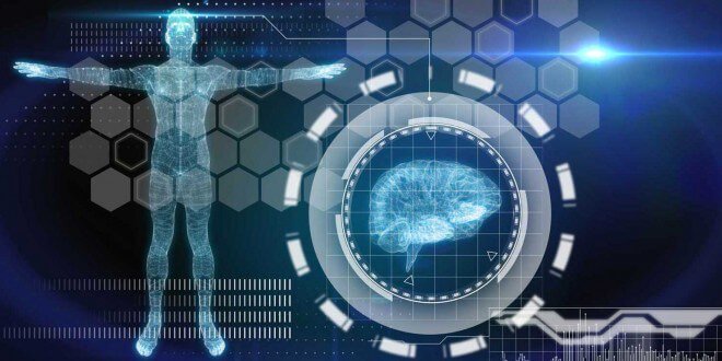 メラトニン、脳、体