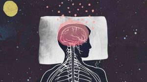睡眠を促し若さを保つメラトニンの効果