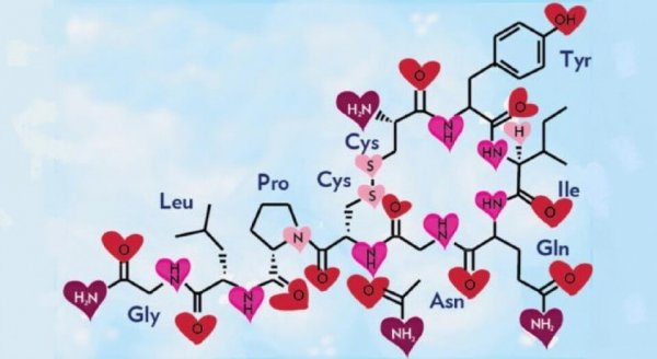 愛と幸せのホルモン：オキシトシン