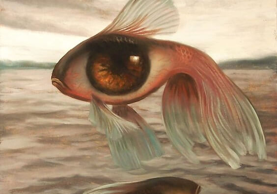 目の魚
