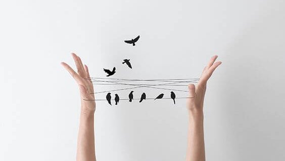 あやとりの電線に留まる鳥