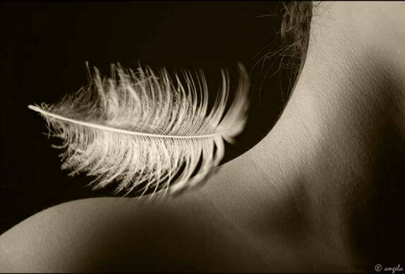 肩の上の鳥の羽