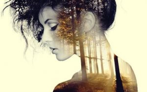 30分の沈黙と孤独の効果