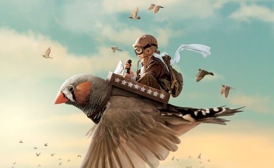 鳥に乗る少年パイロット