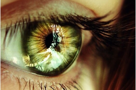 緑の目