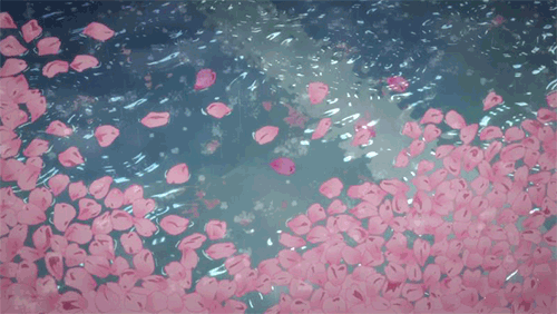 雨に打たれる花びら
