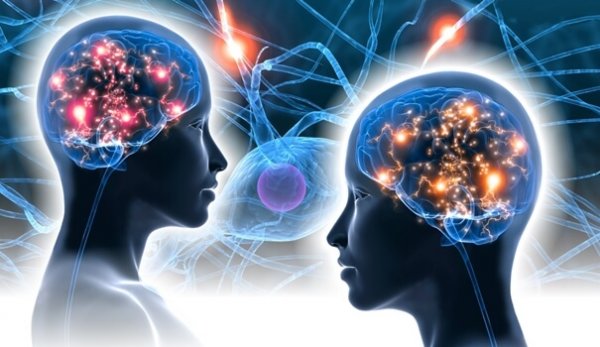 二人の脳と神経