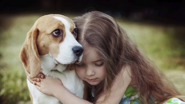 犬の共感力にある治癒の力