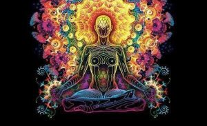 迷走神経は不安を拭い去る